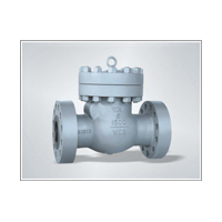 Check Valve